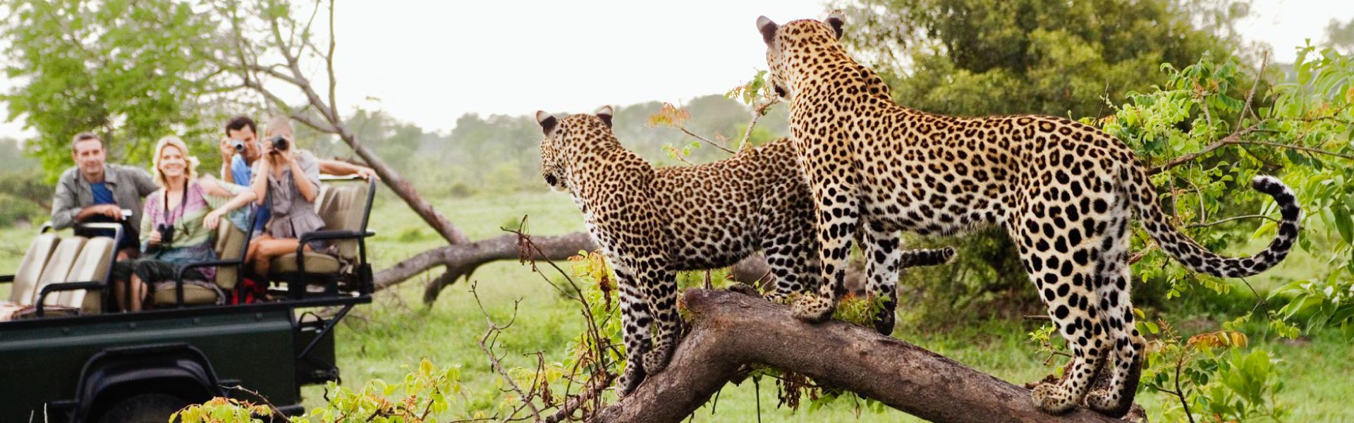 Kruger National Park