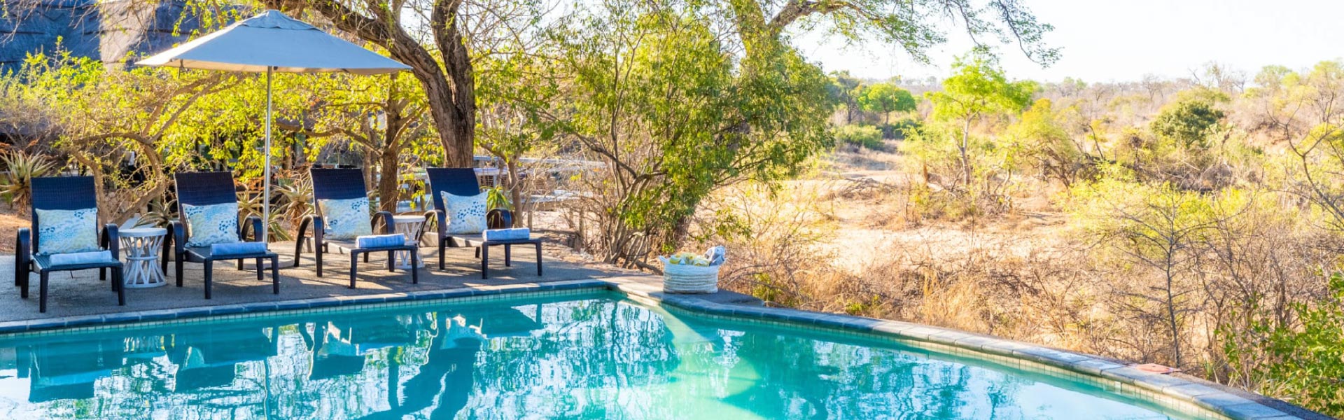 Thornybush Game Lodge Specials