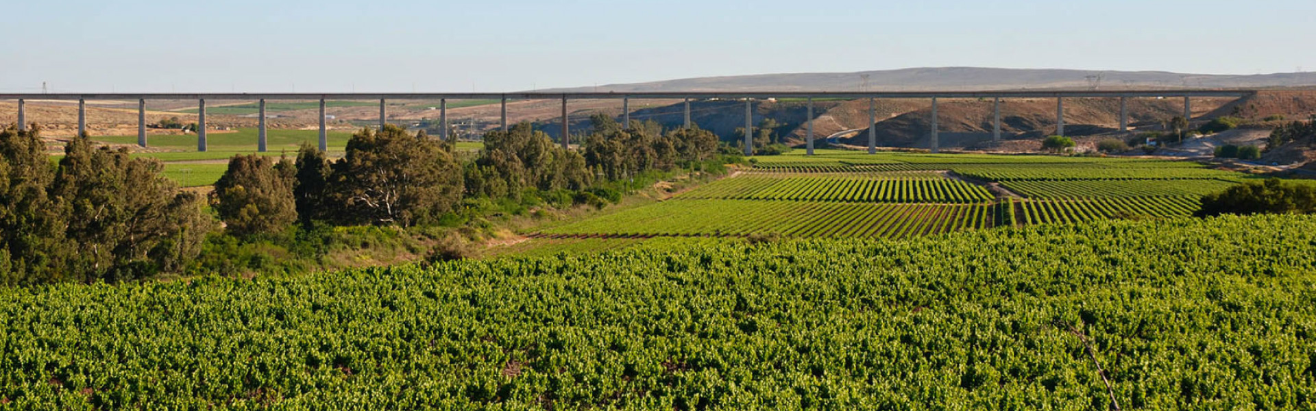 Vredendal